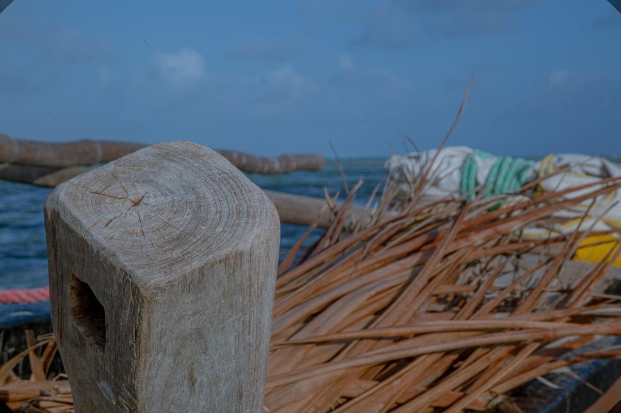 Afriican Village Zanzibar Michamvi Eksteriør bilde