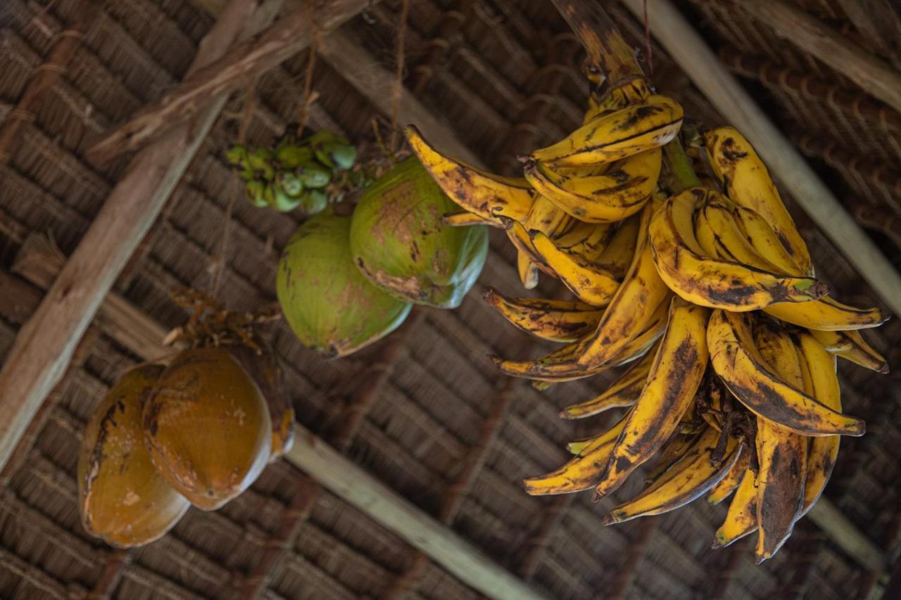 Afriican Village Zanzibar Michamvi Eksteriør bilde