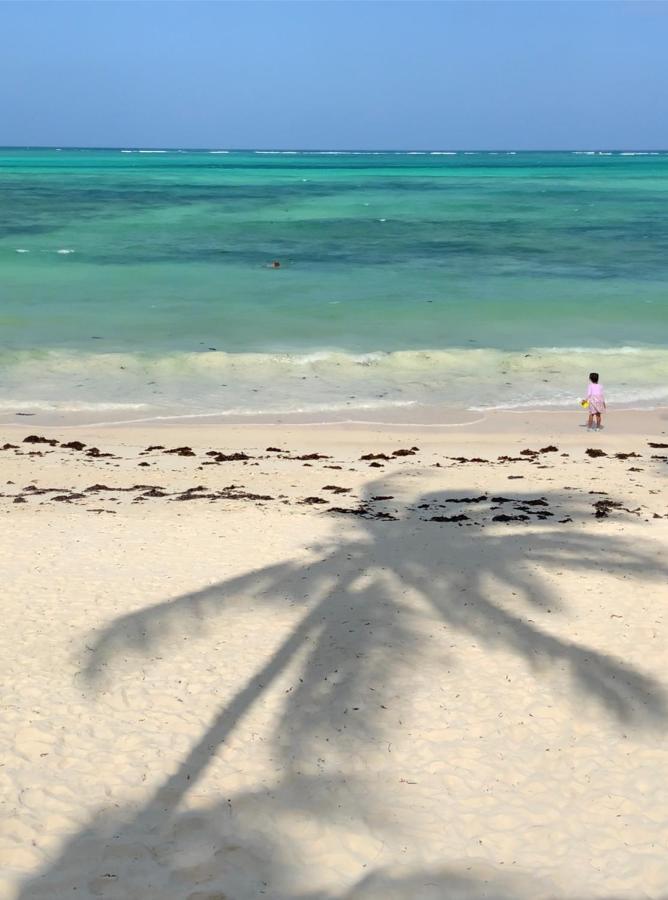 Afriican Village Zanzibar Michamvi Eksteriør bilde