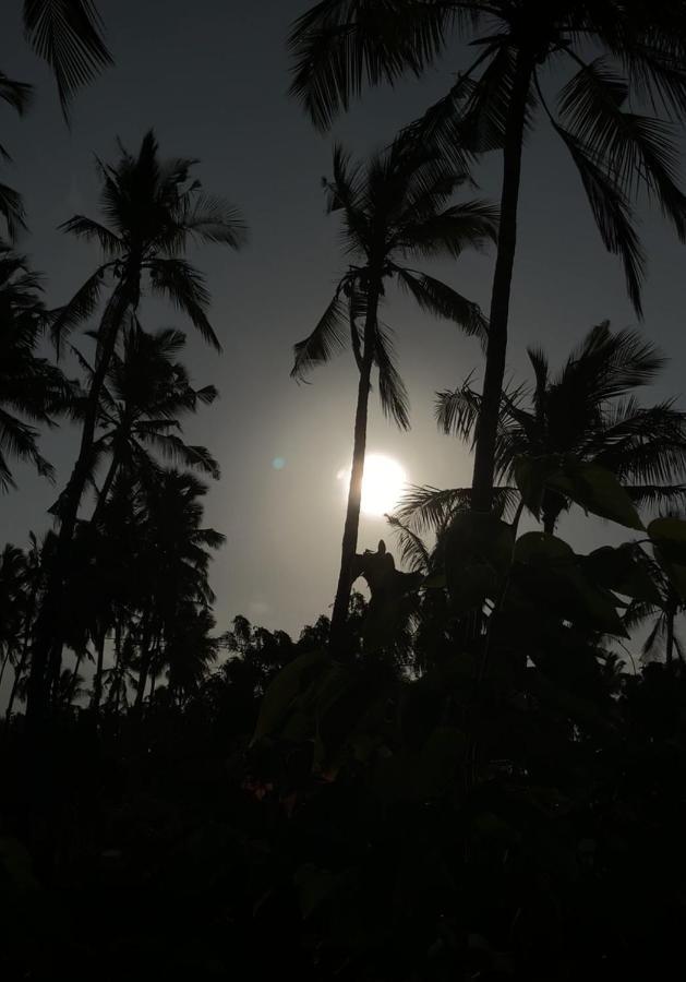 Afriican Village Zanzibar Michamvi Eksteriør bilde