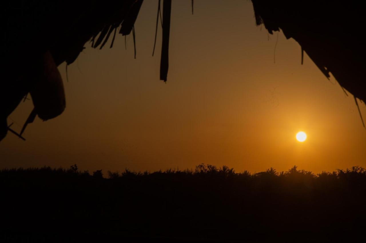 Afriican Village Zanzibar Michamvi Eksteriør bilde